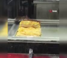 İzmir'de yok artık dedirten g&ouml;r&uuml;nt&uuml;: B&ouml;rek tezgahlarında fare cirit attı