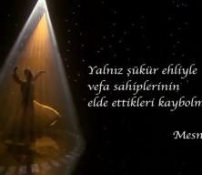  Mevlana dostları 752. Şeb-i Arus&rsquo;ta Konya'da buluştu