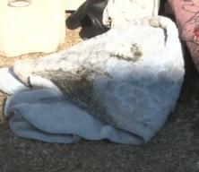 Şanlıurfa&rsquo;da esrarengiz yangınlar: 2 aylık bebek yaralandı