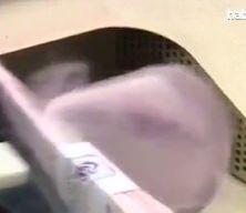 Merkez Bankası enflasyonun ana eğiliminde d&uuml;ş&uuml;ş aralıkta s&uuml;recek dedi