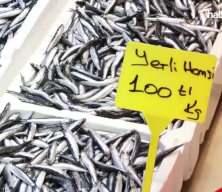 Trabzon'da hamsi ve istavrit 100 liradan satılıyor