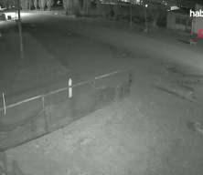 Bayburt'ta k&ouml;ye inen 5 kurt, k&ouml;peği tuzağa &ccedil;ekti! O anlar kamerada