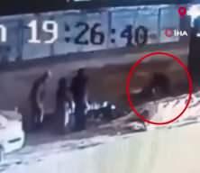 Bursa'da başıboş sokak k&ouml;peği dehşeti: 3 kişi yaralandı