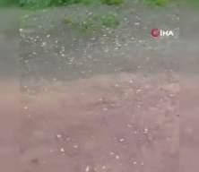 Derince'de sahipsiz sokak k&ouml;pekleri dehşet sa&ccedil;maya devam ediyor