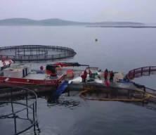 Elazığ&rsquo;da siyah havyar &uuml;retim &uuml;ss&uuml; hedefi