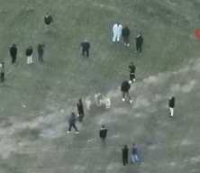 Horoz, kaz derken sıra k&ouml;peklere geldi: 19 kişi hakkında işlem yapıldı!