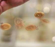 İslam Memiş: 2026 i&ccedil;in ons ve gram tarafında y&uuml;kseliş tahminimiz devam ediyor