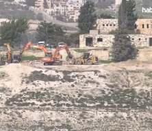 İsrail'den Batı Şeria'da &ccedil;evre ve hayvan katliamı