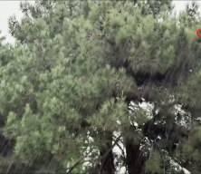 Kar ve dondurucu soğuk T&uuml;rkiye'yi esir alacak!