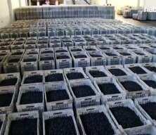 Marmarabirlik duyurdu: 1 milyar 200 milyon liralık destek!