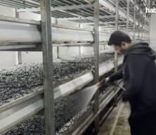 Memurluğu bıraktı k&ouml;y&uuml;ne d&ouml;nd&uuml;: Devlet desteğiyle hayatı değişti