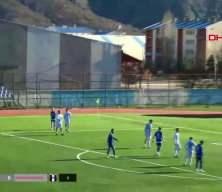 Sahaya giren k&ouml;pek kalenin &ouml;n&uuml;nde uyudu! 