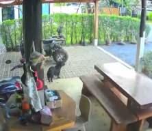 Tayland ile Kambo&ccedil;ya, sınır &ccedil;atışmalarına devam ediyor