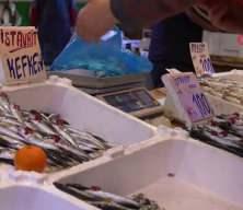 Ucuz hamsiye veda zamanı!