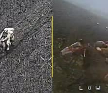 Atlı piyadelerin drone ile imtihanı... Ukrayna-Rusya savaşında o anlar