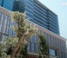 Ziraat, Vakıf ve Halk Katılım birleşiyor!