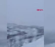 Artvin&rsquo;de &ccedil;ığ altında kalan 2 &ccedil;obanı arama &ccedil;alışmaları devam ediyor