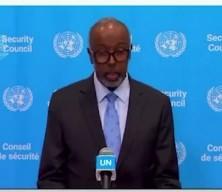 Somali: İsrail&rsquo;in Somaliland kararı d&uuml;nyanın dikkatini Filistin&rsquo;den uzaklaştırmayı ama&ccedil;lamaktadır