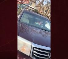 ABD'de ICE polislerinin bir kadını vurmasına ilişkin yeni g&ouml;r&uuml;nt&uuml;ler ortaya &ccedil;ıktı