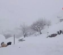 Batman Sason&rsquo;da kar ve buzlanma nedeniyle okullar tatil edildi