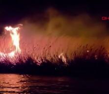 Hatay'da korkutan yangın: Milleyha Kuş Cenneti alevlere teslim 