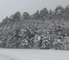 Tunceli'de eğiteme kar arası!
