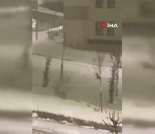 A&ccedil; kalan tilki şehir merkezine indi