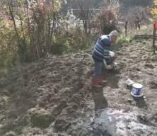 Antalya'da 82 yaşındaki Mevl&uuml;t emminin imrendiren toprak projesi: Bin 670 ağa&ccedil; dikti