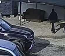 Antalya'da beslediği kangalın saldırısına uğrayan adam yaralandı