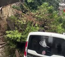 Bolu'da metruk bina &ccedil;&ouml;kt&uuml;