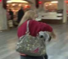 Derya &Ccedil;ayırgan'ın ifadesi ortaya &ccedil;ıktı: İmamoğlu, otelde birka&ccedil; ziyaretime geldi!