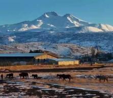 H&uuml;rmet&ccedil;i Sazlığı'ndaki yılkı atları g&uuml;n batımında dronla g&ouml;r&uuml;nt&uuml;lendi