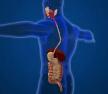 "Bağırsak detoksu" modasına uzman uyarısı! 