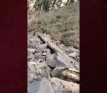 Cammu Keşmir&rsquo;de askeri ara&ccedil; u&ccedil;uruma yuvarlandı: 10 asker hayatını kaybetti