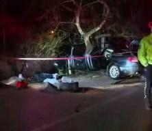 Kontrolden &ccedil;ıkan ara&ccedil; ağaca &ccedil;arptı: 2 &ouml;l&uuml;, 2 yaralı