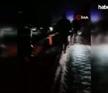 K&ouml;pekler nedeniyle otoyolda can pazarı