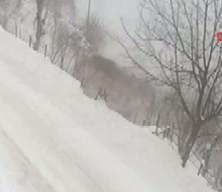 Ordu'da kamyon şarampole devrildi!