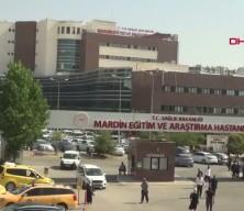 Sokak k&ouml;peklerinin saldırısına uğrayan Nazlı, ağır yaralandı