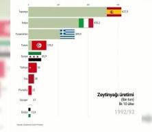 T&uuml;rkiye zeytinyağı &uuml;retiminde d&uuml;nya ikinciliğini sağlamlaştırdı