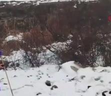 Diyarbakır'da kaybolan Nimet 8 g&uuml;nd&uuml;r aranıyor