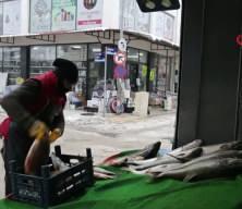 Elazığ'da yakalanan dev balığı iki kişi zor taşıdı!