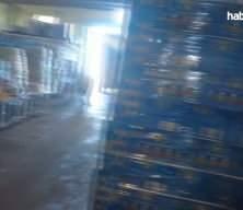 İHH TIR'ları Aynularab yolunda!