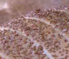 Mansur Yavaş'a halk ekmek soruşturması!