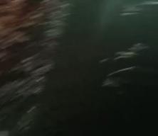 Ter&ouml;r &ouml;rg&uuml;t&uuml; YPG ateşkesi ihlal etti: Yine sivilleri &ouml;ld&uuml;rd&uuml;!