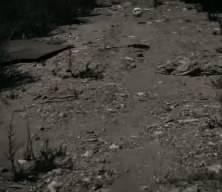 6 Şubat depremleri spor d&uuml;nyasını da yıktı! Atsu, Nilay Doğan...