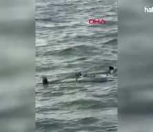 &Ccedil;atalca a&ccedil;ıklarında balık&ccedil;ıların ağına insansız hava aracı takıldı