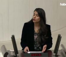 DEM'li vekilden akla ziyan iddia: K&uuml;rtlere K&uuml;rt oldukları i&ccedil;in trafik cezası kesiliyor