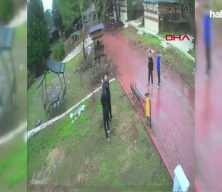 Dinozor Park&rsquo;ta kuş yuvalarının par&ccedil;alanmasına tepki