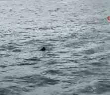 Emin&ouml;n&uuml; vapurunda korku dolu anlar: Denize atlayan şahsı yolcular kurtardı