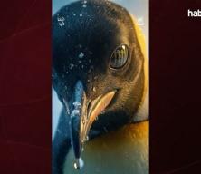 En-Nesyri'nin vedası resmileşti! Yeni takımı a&ccedil;ıklandı